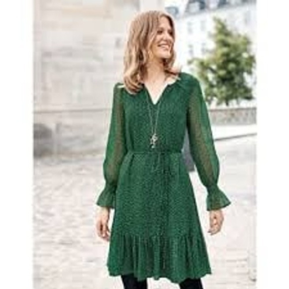Boden Green All Over Print Sheer Long Sleeve‎ Belted Flounce Hem Dress 8R